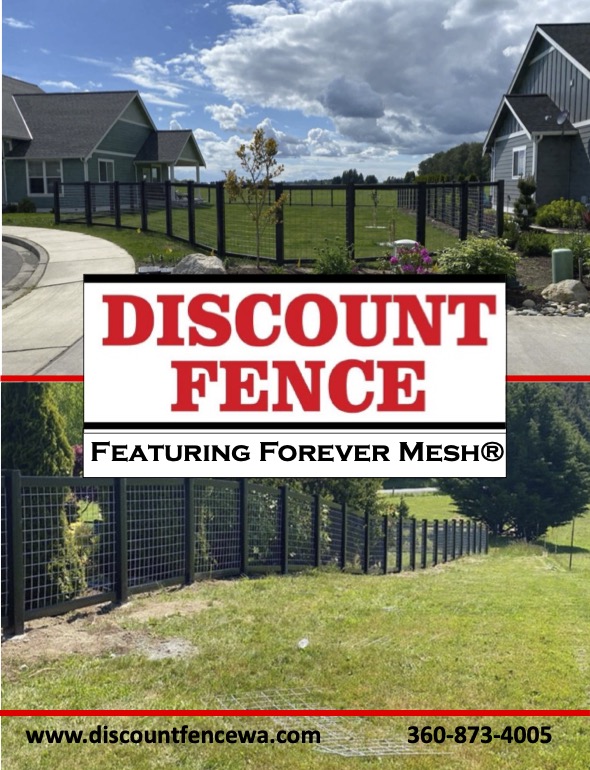 Black Chained Link fence