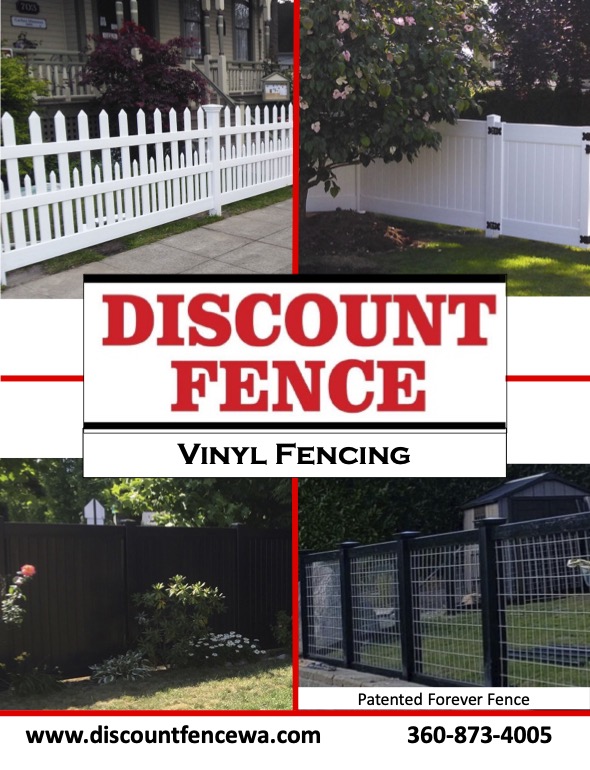 Black Chained Link fence